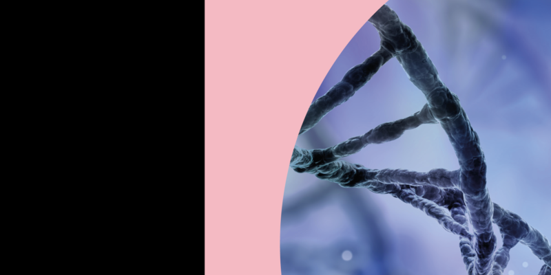 Visual Genetic updte